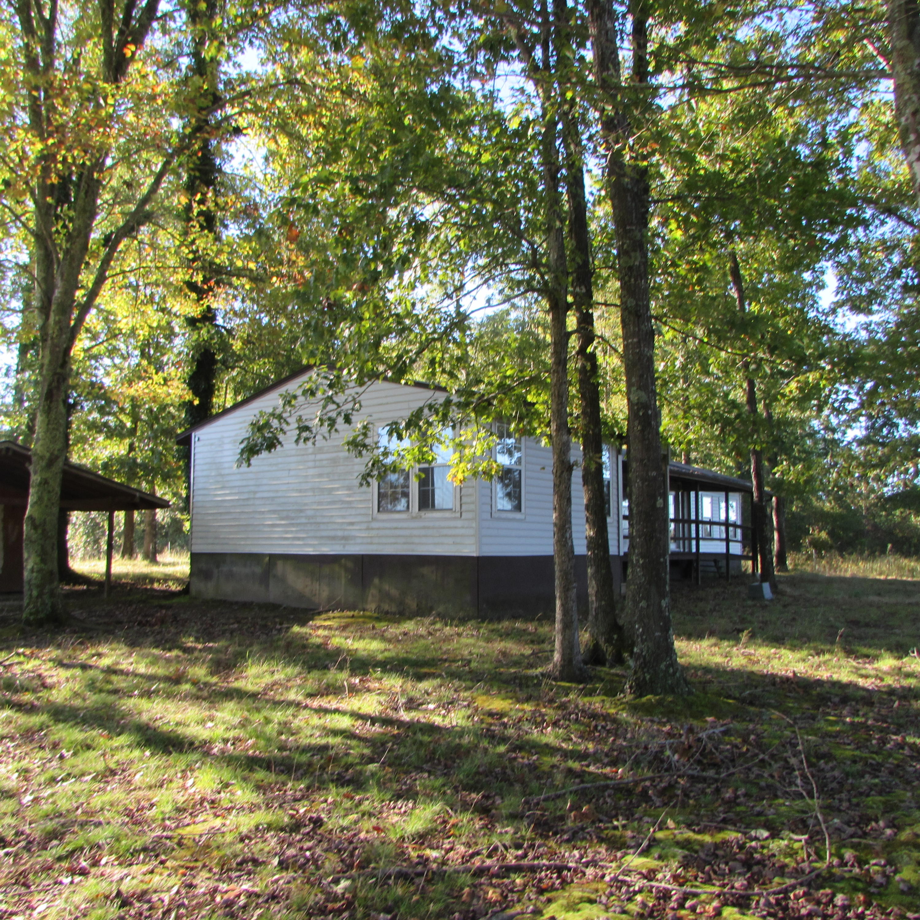 205 Junior Hall Road Road Sunbright, TN 37872 - Photo 26 of 33 home (3)