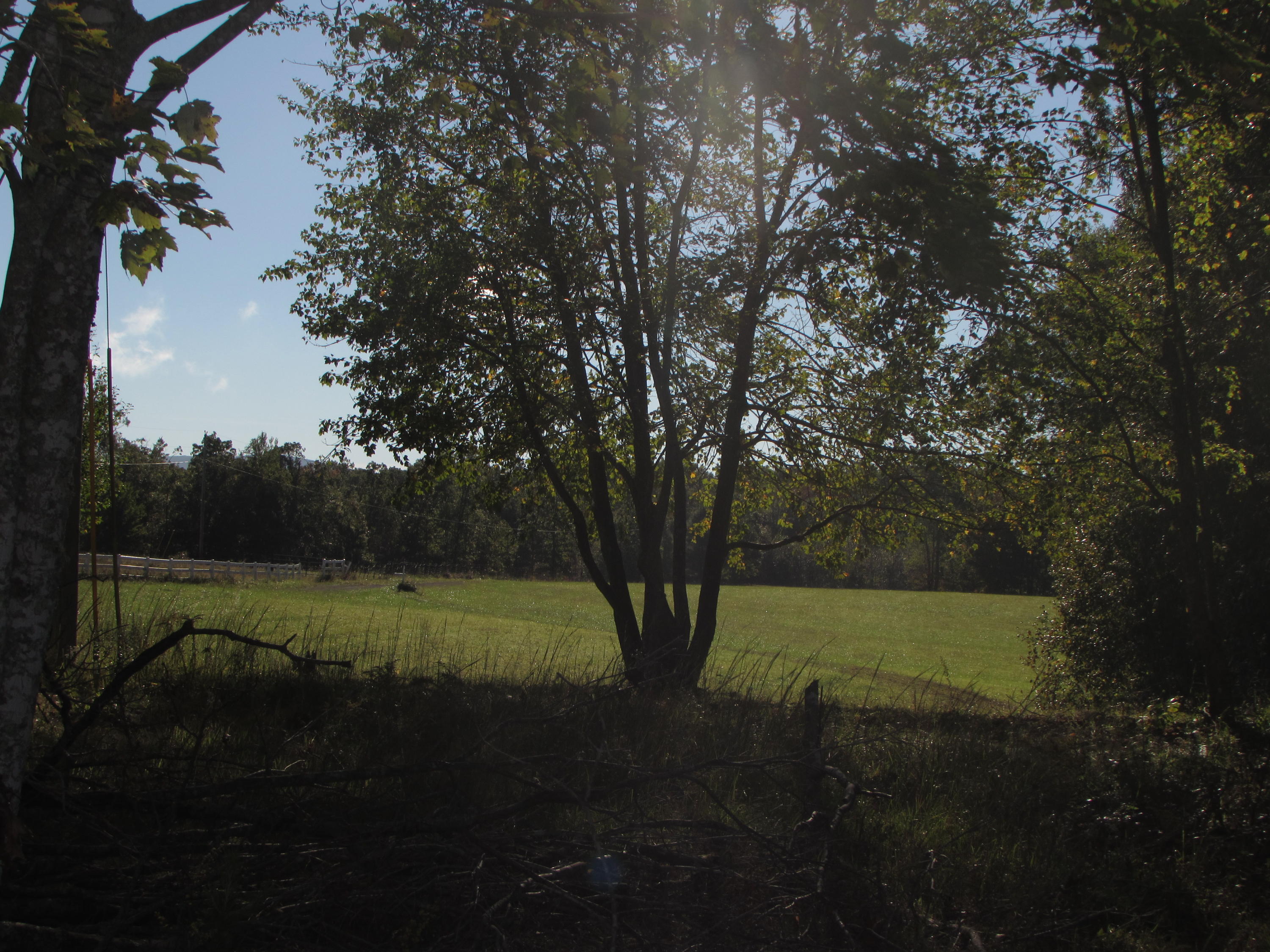 205 Junior Hall Road Road Sunbright, TN 37872 - Photo 28 of 33 land (2)