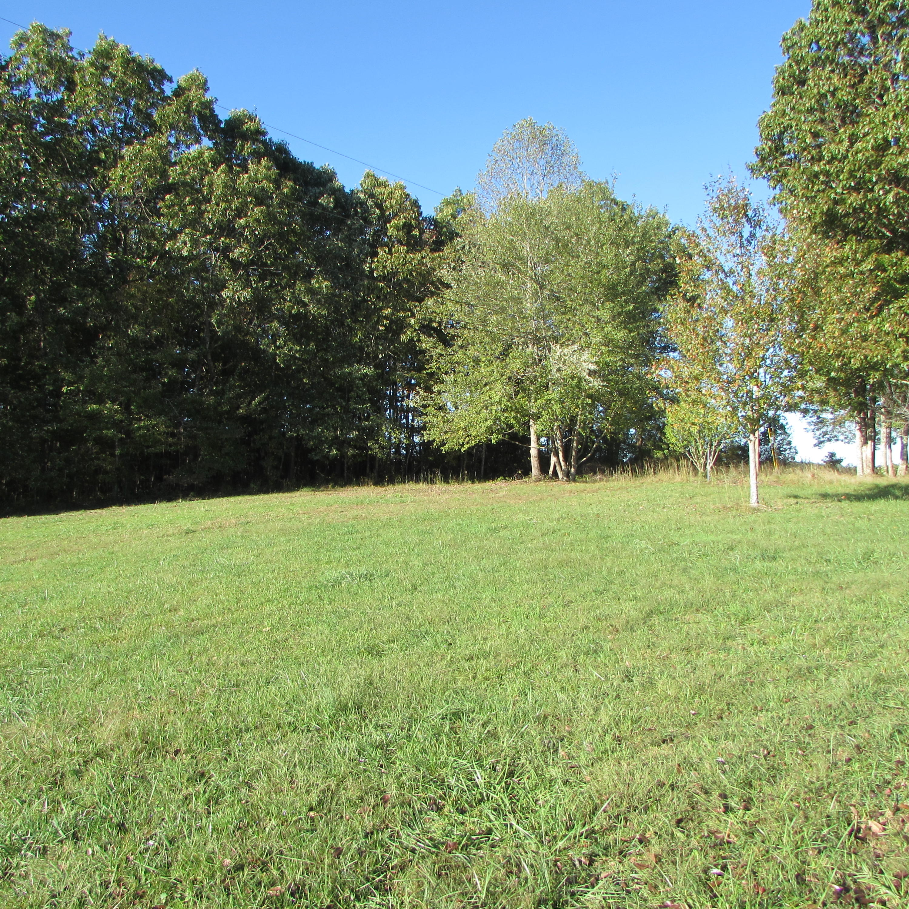 205 Junior Hall Road Road Sunbright, TN 37872 - Photo 30 of 33 Land