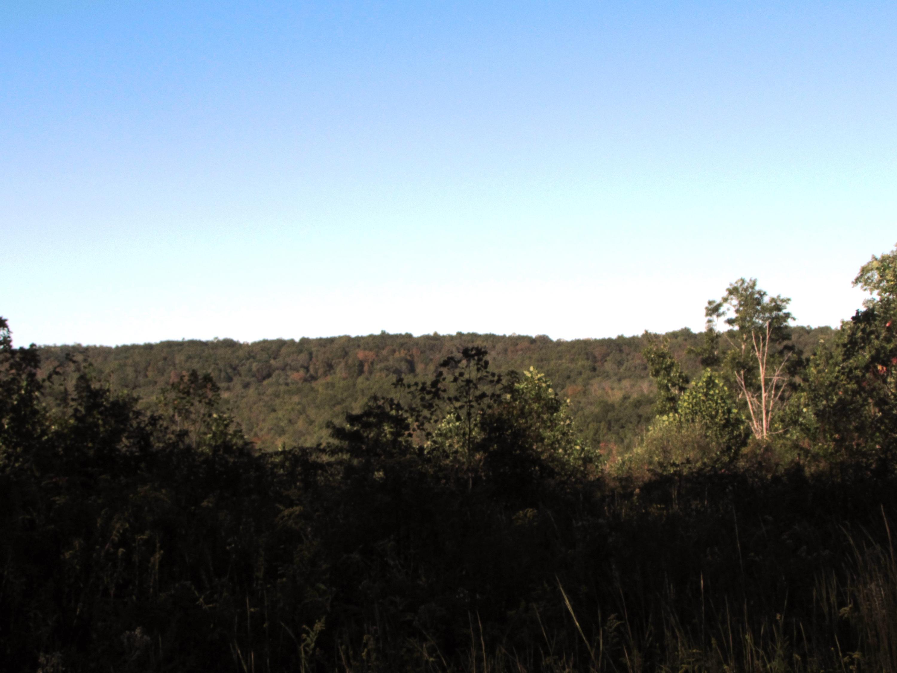 205 Junior Hall Road Road Sunbright, TN 37872 - Photo 4 of 33 mountian