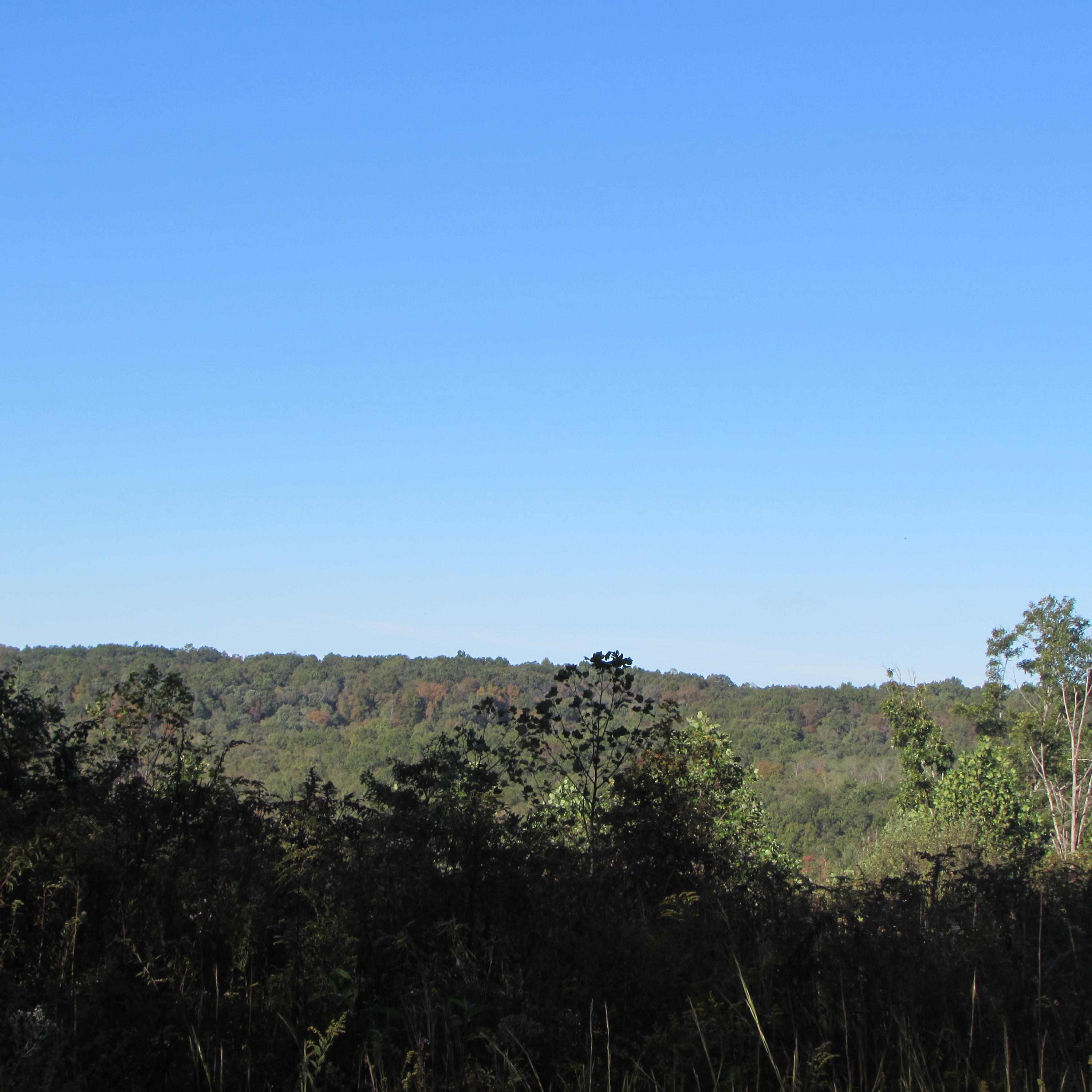 205 Junior Hall Road Road Sunbright, TN 37872 - Photo 33 of 33 views