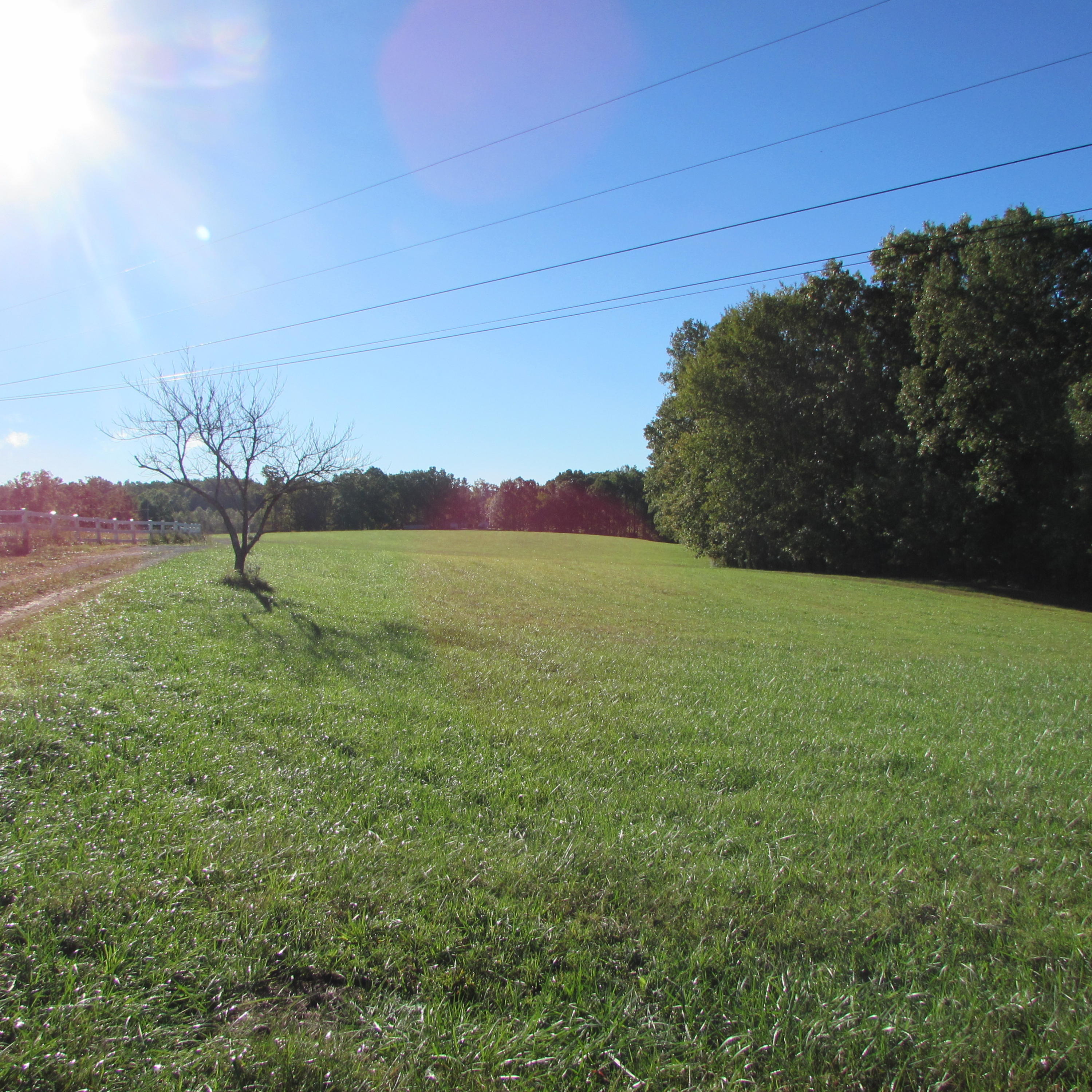 205 Junior Hall Road Road Sunbright, TN 37872 - Photo 6 of 33 land view