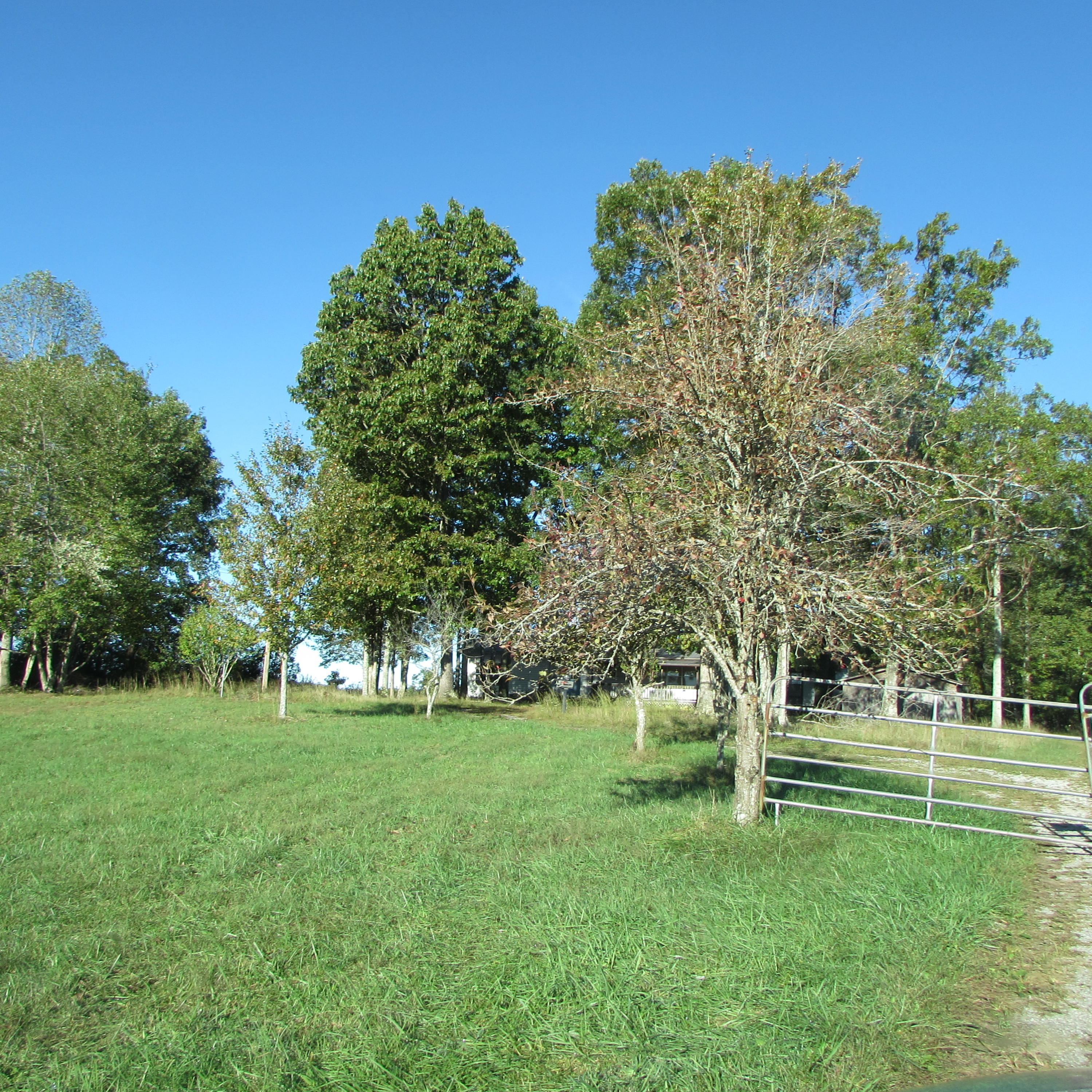 205 Junior Hall Road Road Sunbright, TN 37872 - Photo 7 of 33 HOme