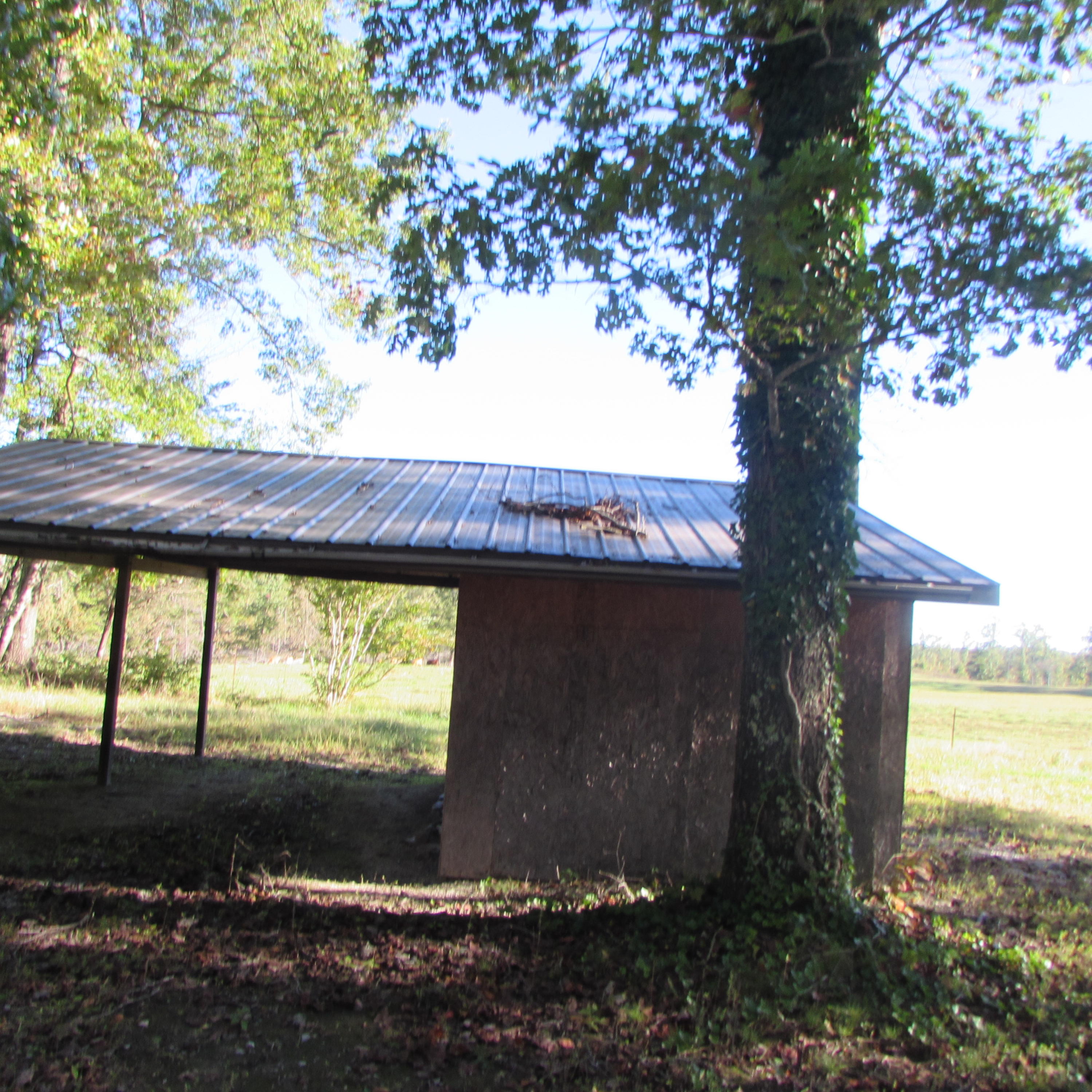 205 Junior Hall Road Road Sunbright, TN 37872 - Photo 8 of 33 storage