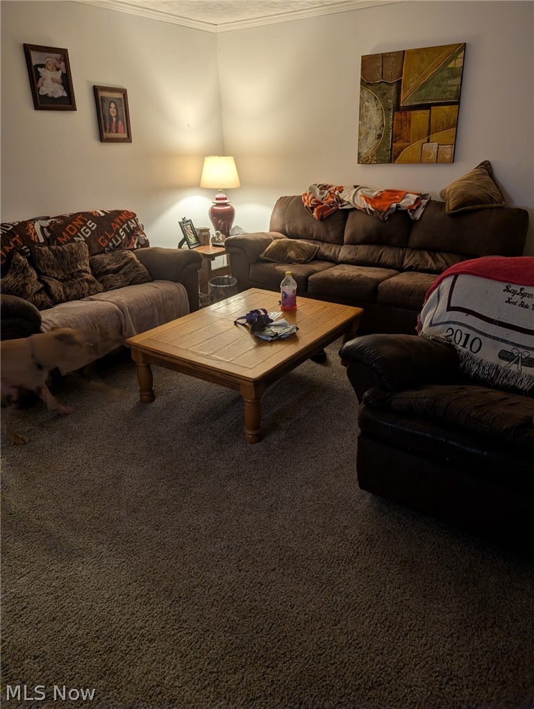 3 South 2nd Street Dennison, OH 44621 - Photo 5 of 16 Carpeted living room featuring crown molding