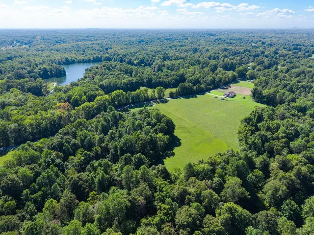 an aerial view of green landscape with trees houses and mountain view