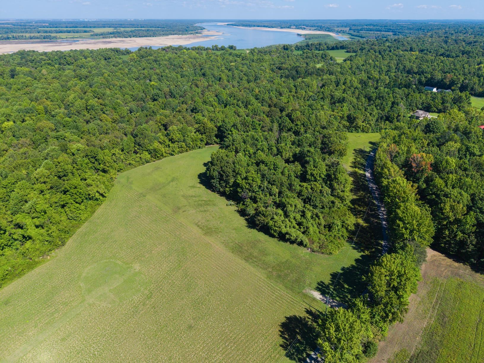 0 Dolan Road Drummonds, TN 38023 - Photo 4 of 10 a view of a large yard with lots of green space