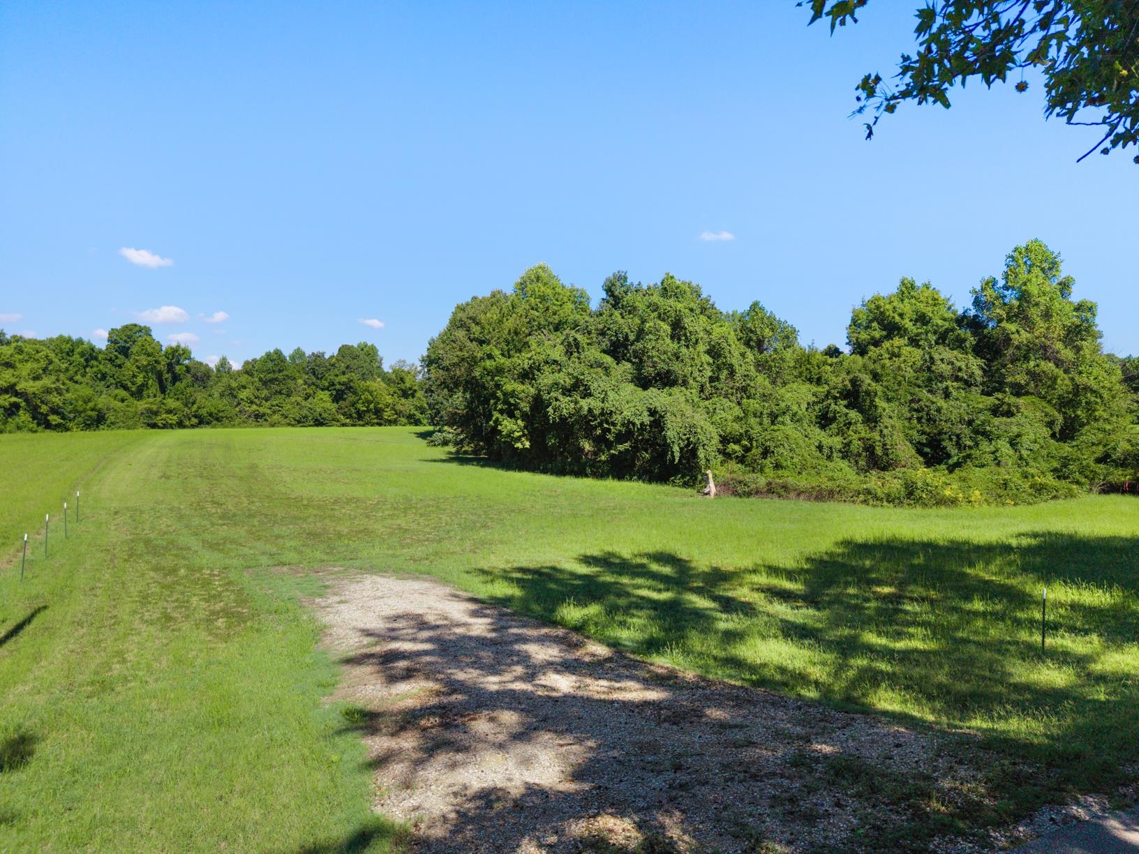 0 Dolan Road Drummonds, TN 38023 - Photo 7 of 10 a view of a lake with a yard