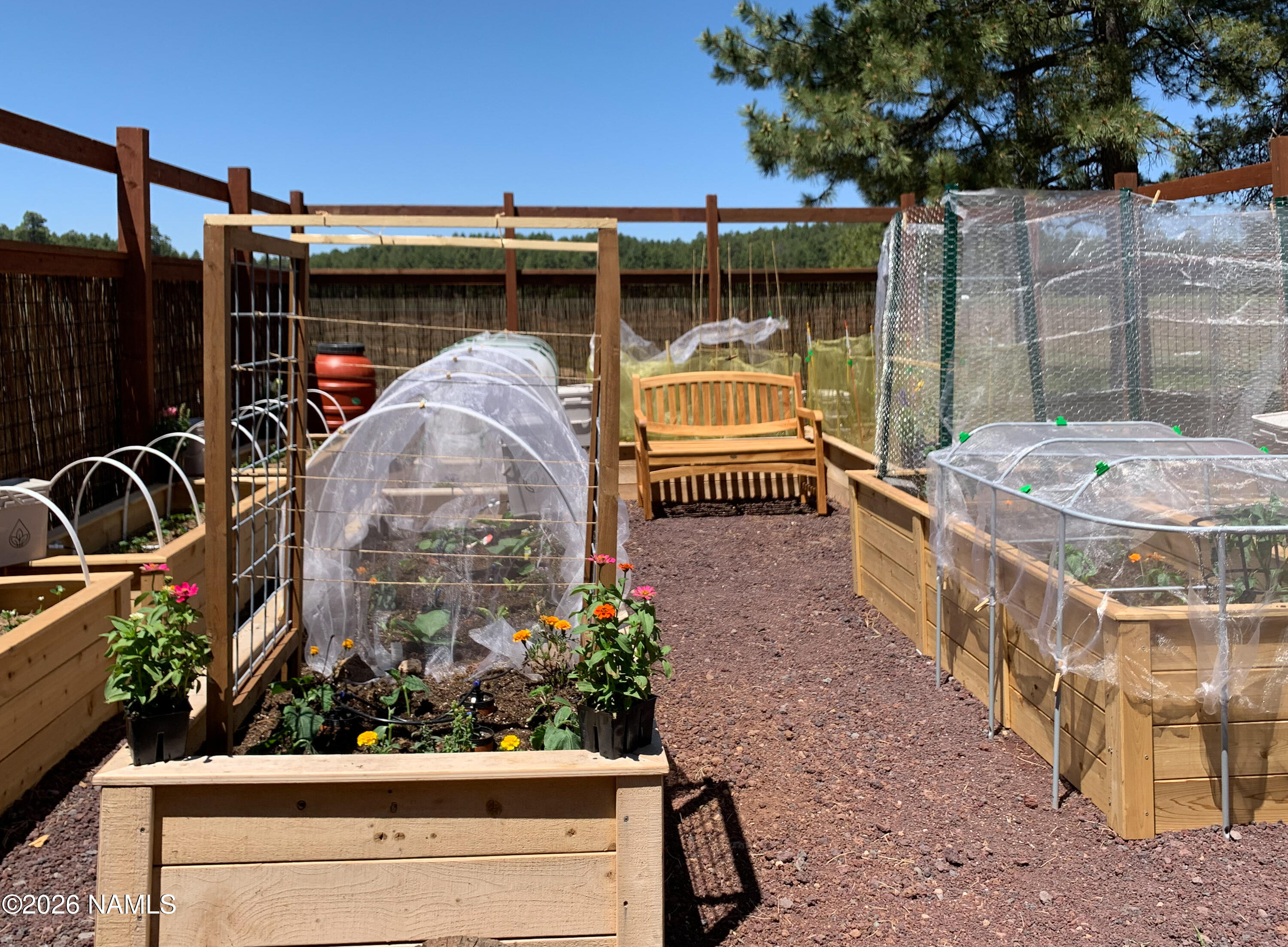 39291 Lake Mary Road Happy Jack, AZ 86024 - Photo 26 of 54 Raised Bed Garden