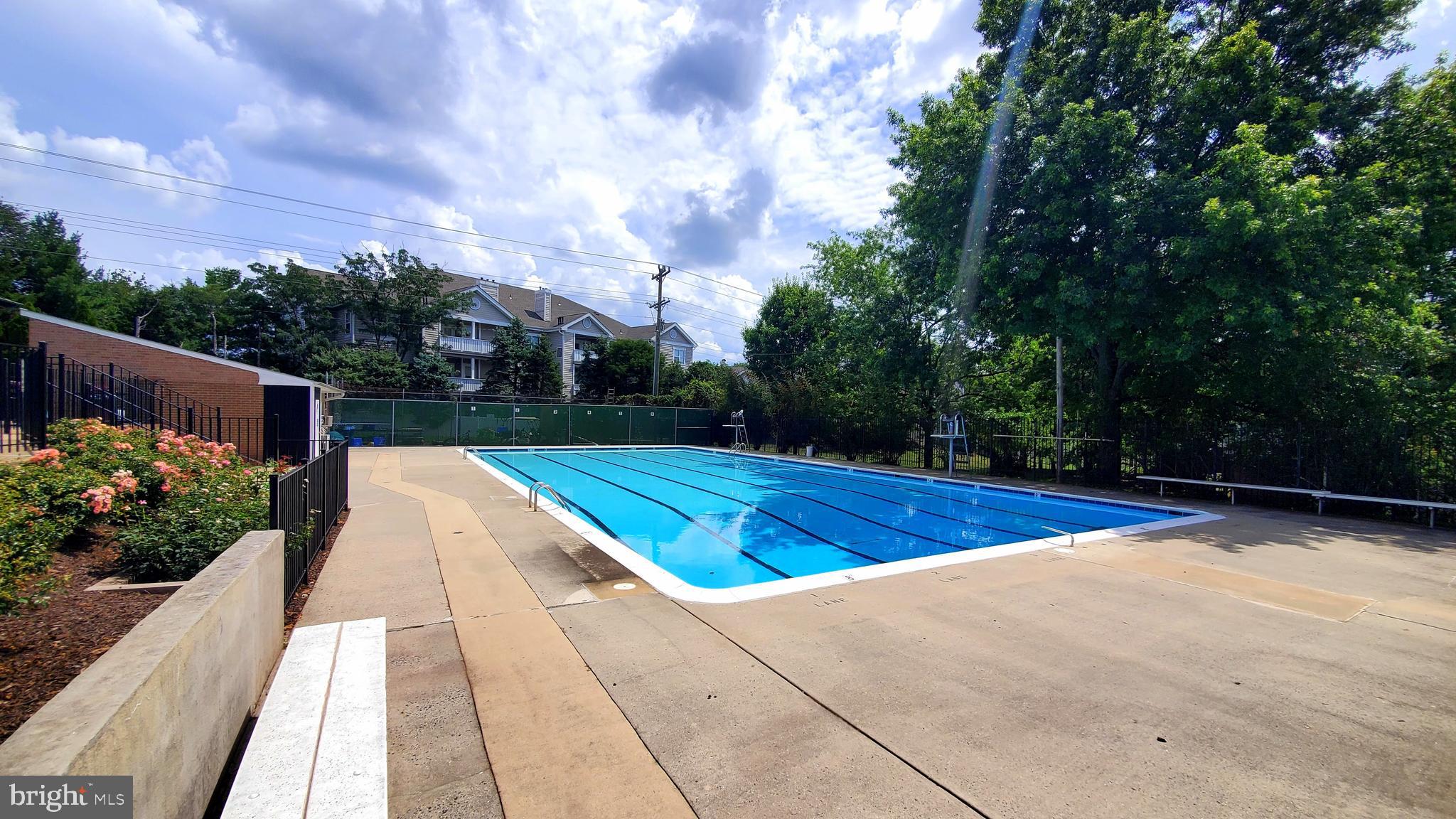 14524 Golden Oak Road Centreville, VA 20121 - Photo 33 of 39 Community Pool - Lap
