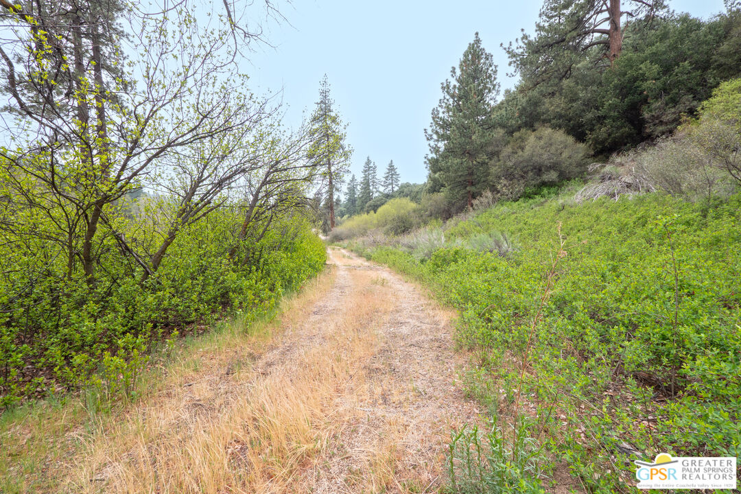69 7 Oaks Road Angelus Oaks, CA 92305 - Photo 28 of 36