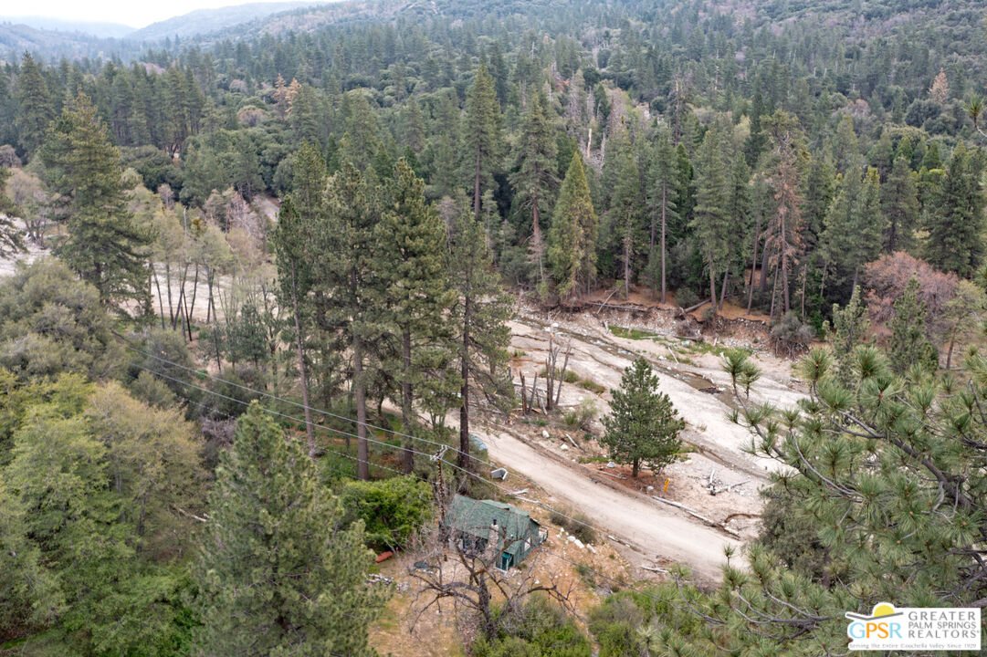 69 7 Oaks Road Angelus Oaks, CA 92305 - Photo 33 of 36