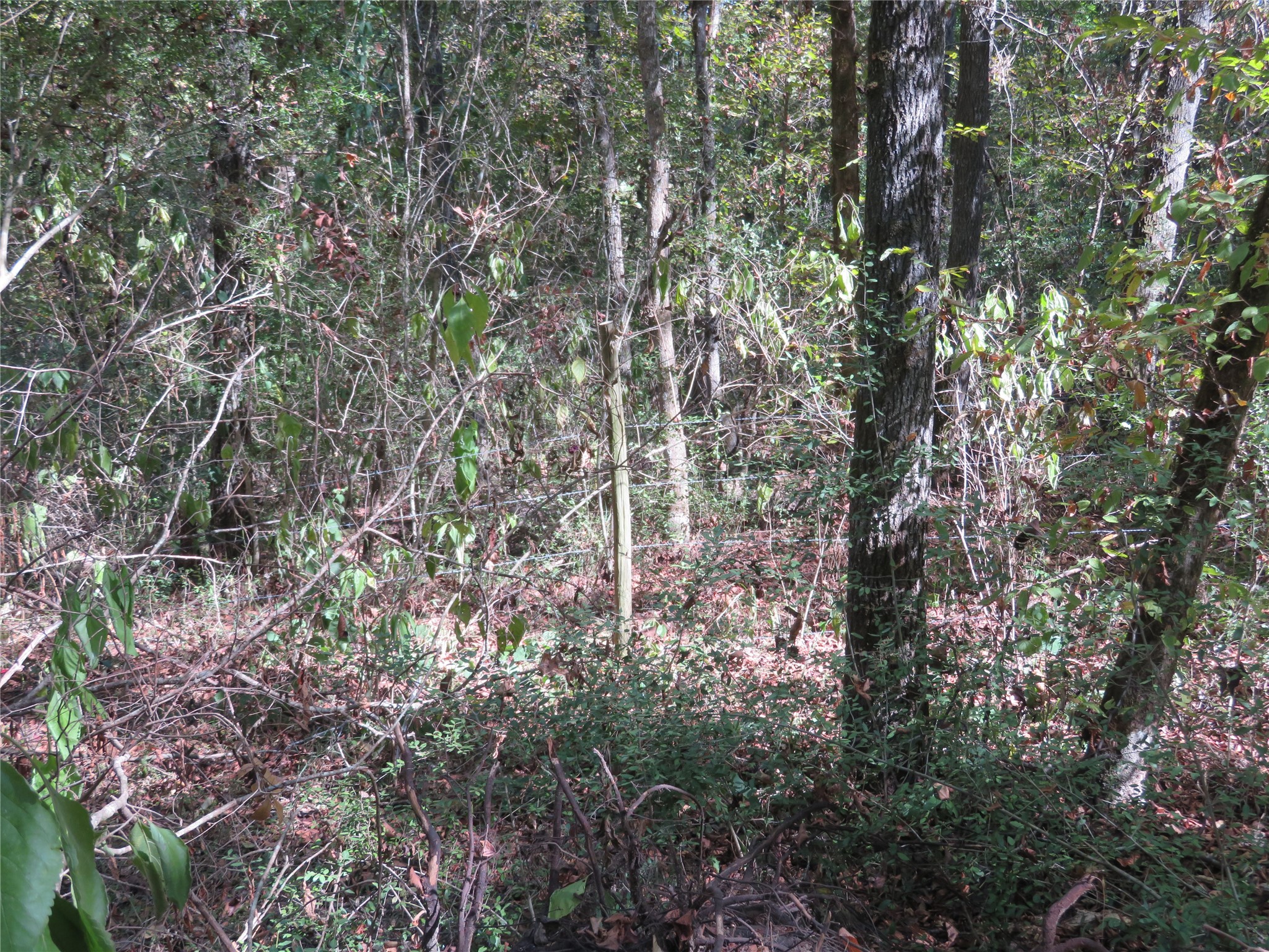 0 County Road 2125 Cleveland, TX 77327 - Photo 11 of 16