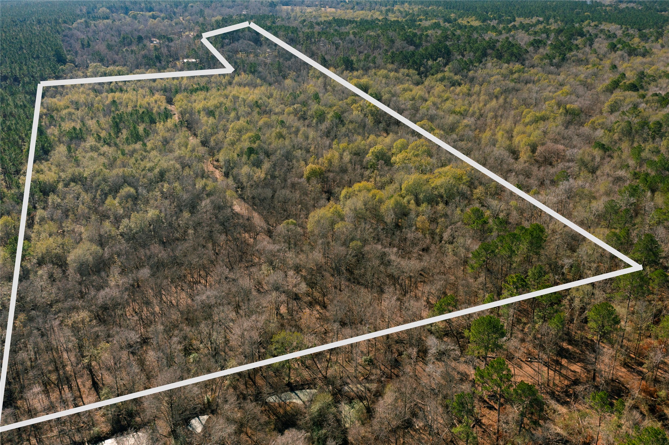 0 County Road 2125 Cleveland, TX 77327 - Photo 13 of 16