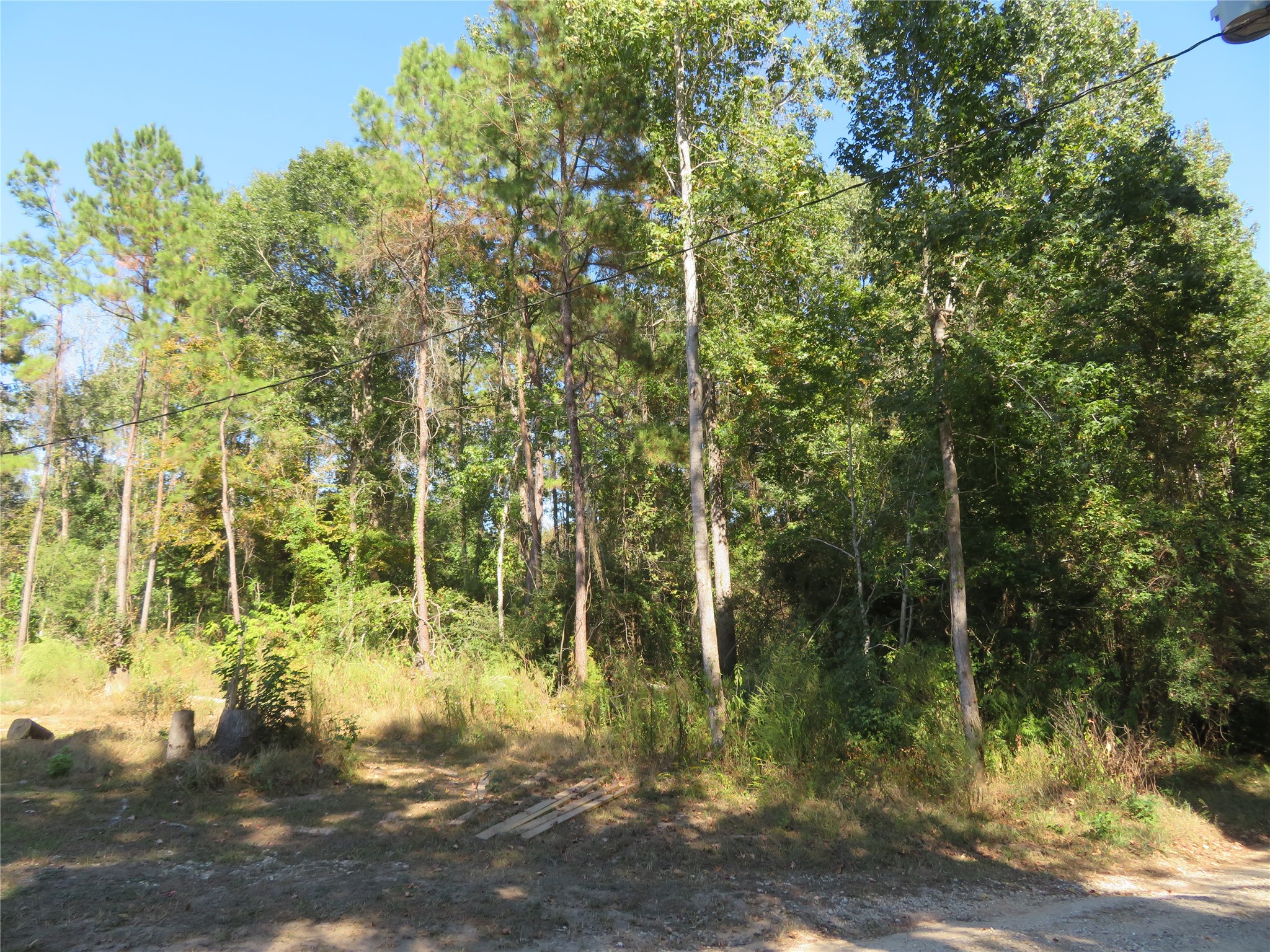 0 County Road 2125 Cleveland, TX 77327 - Photo 2 of 16 a view of outdoor space and yard