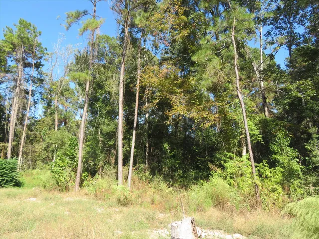 a view of outdoor space and trees