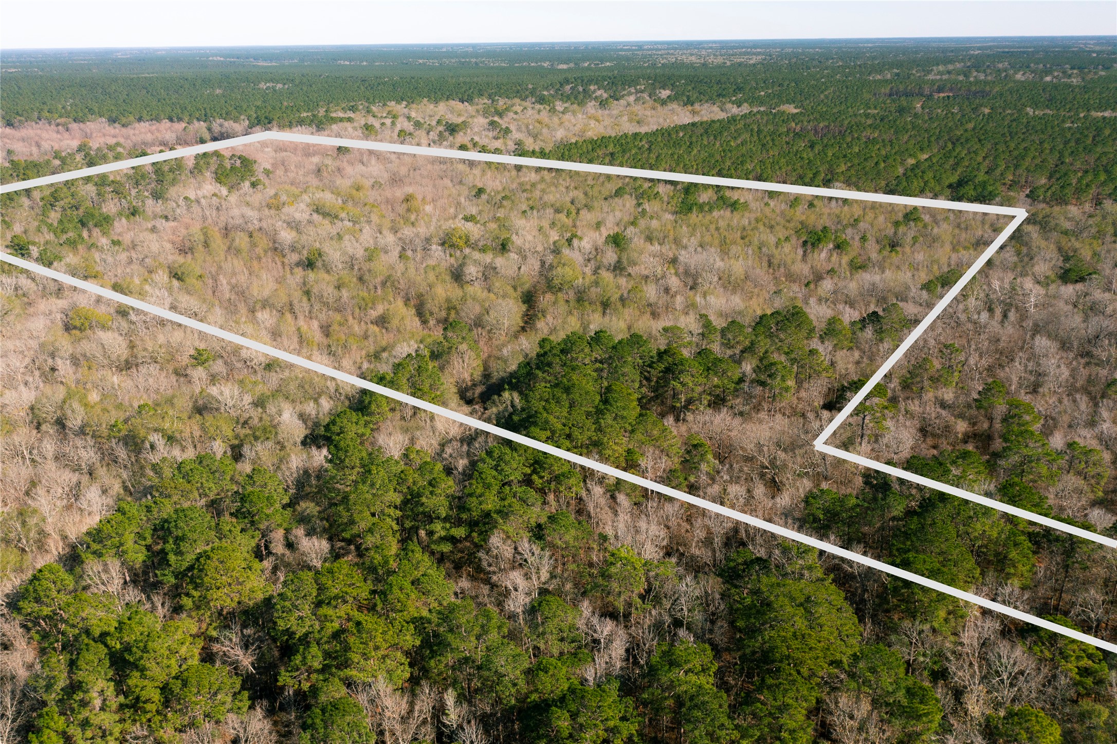 0 County Road 2125 Cleveland, TX 77327 - Photo 10 of 16 a view of a forest from a balcony