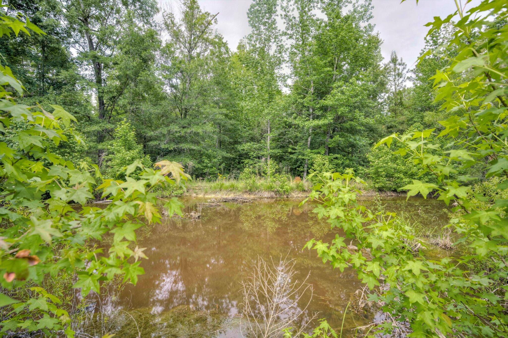 5925 Harlem Grovetown Road Harlem, GA 30814 - Photo 53 of 75 52-052-