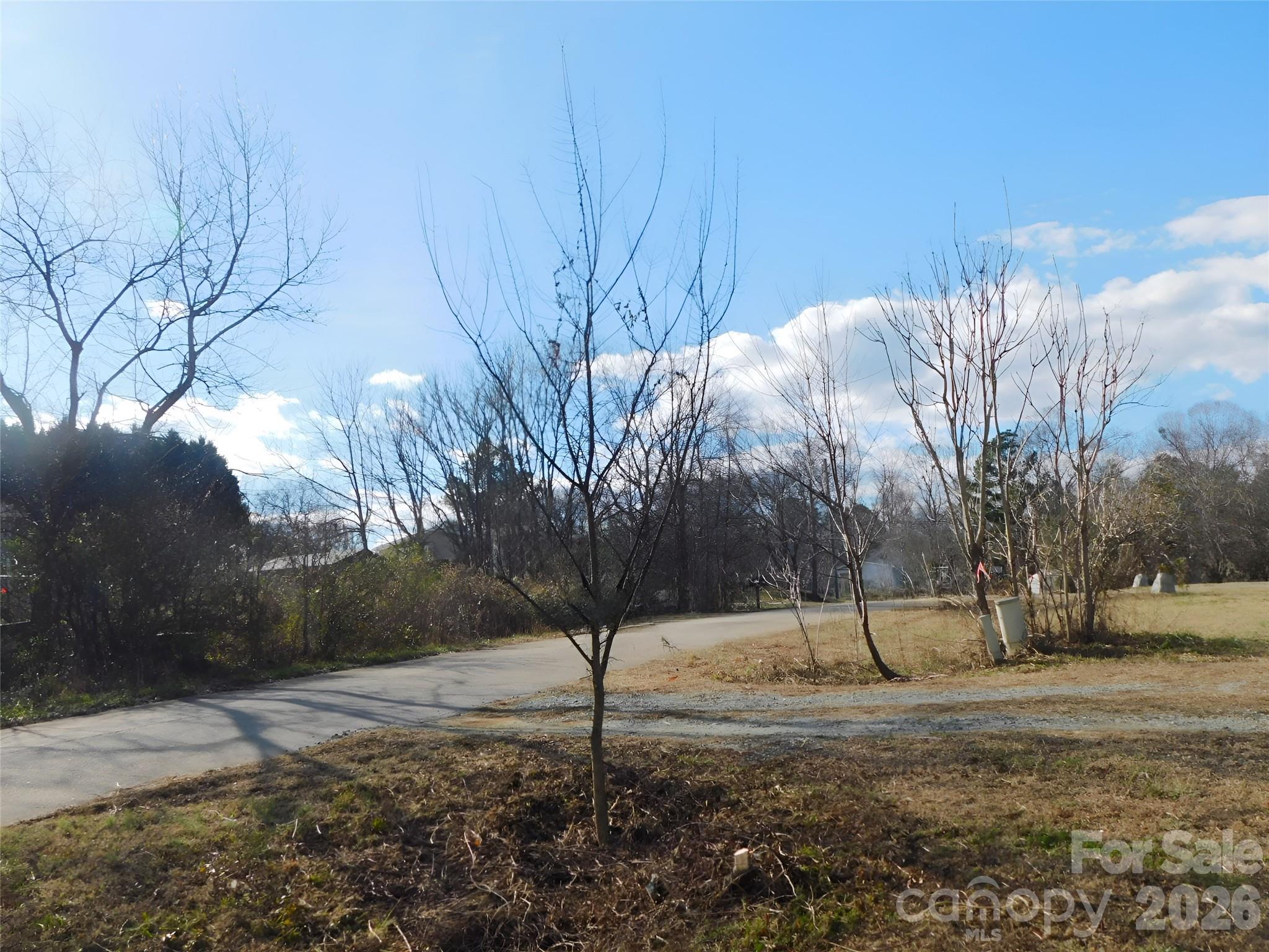 149 Bramble Trail Salisbury, NC 28144 - Photo 25 of 27 a view of a tree in the middle of a yard