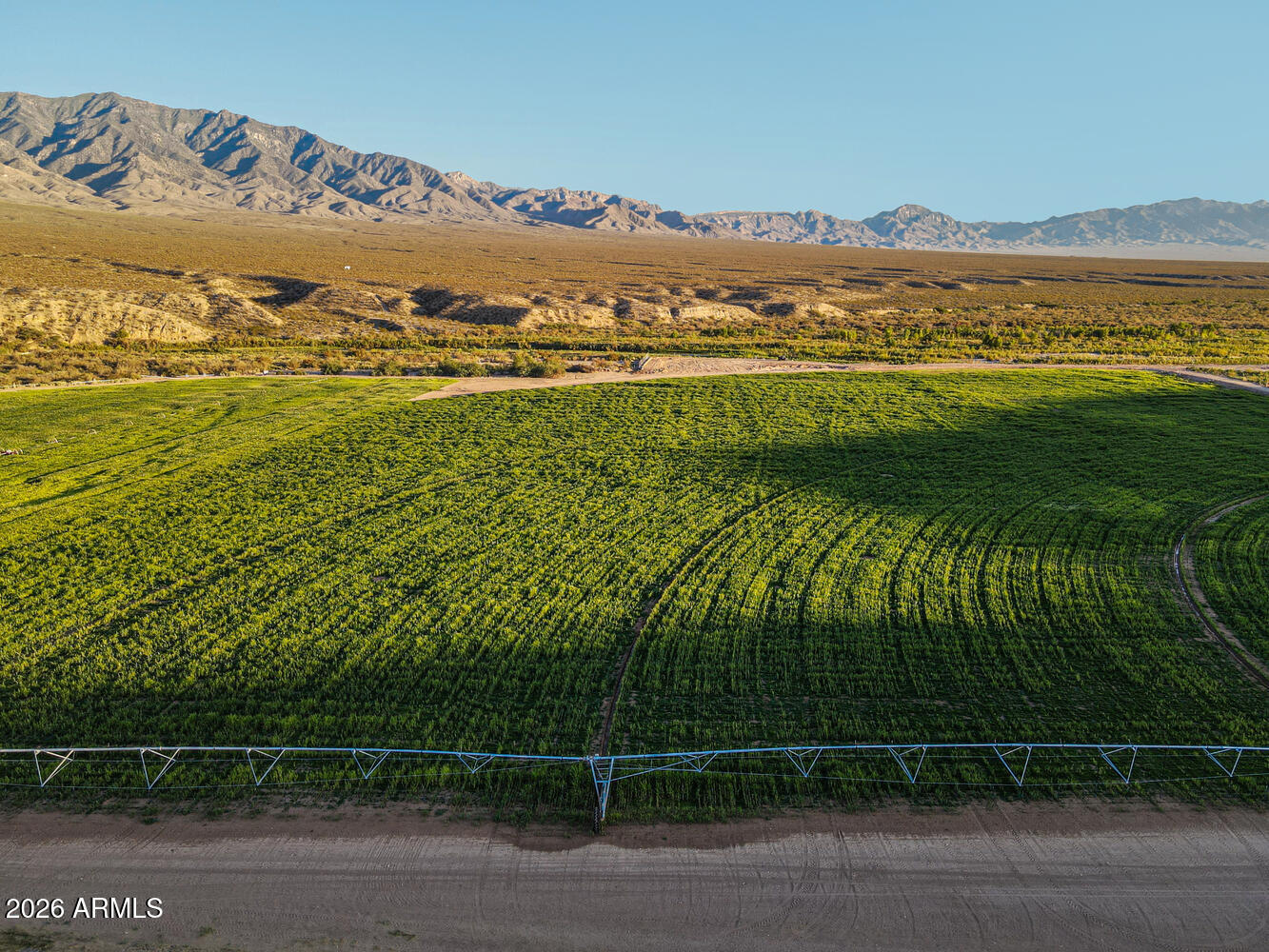 659 Hidden Valley Road Littlefield, AZ 86432 - Photo 5 of 24 Irrigated Land