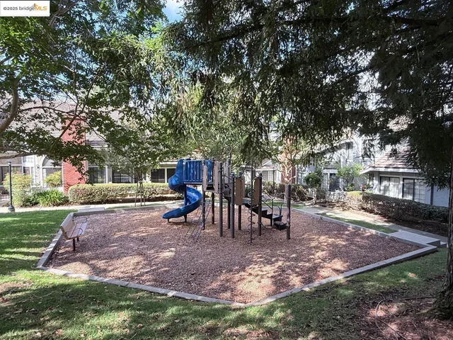 a view of a park with a slide