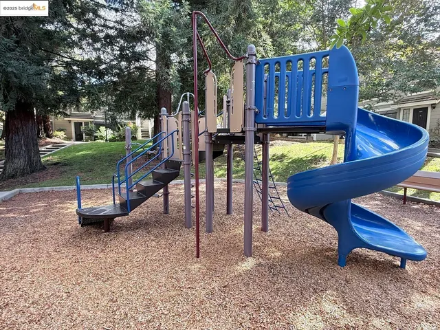 a view of a park with chairs