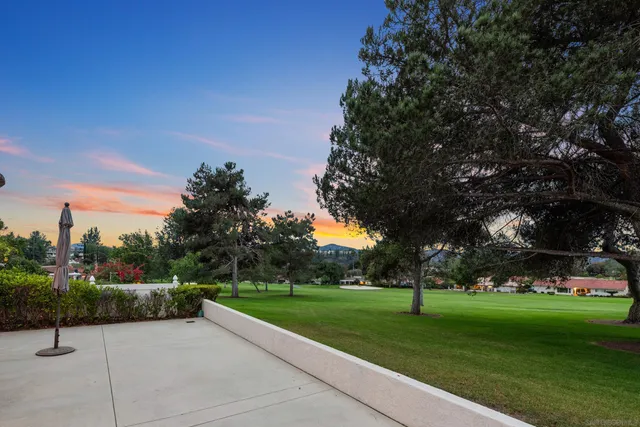 a view of a park with tree s