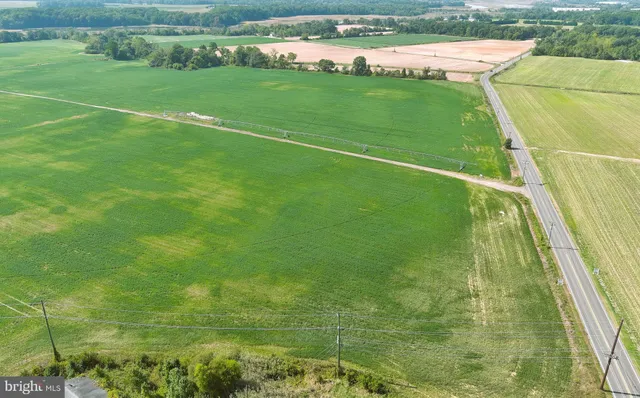 a view of a field with an ocean