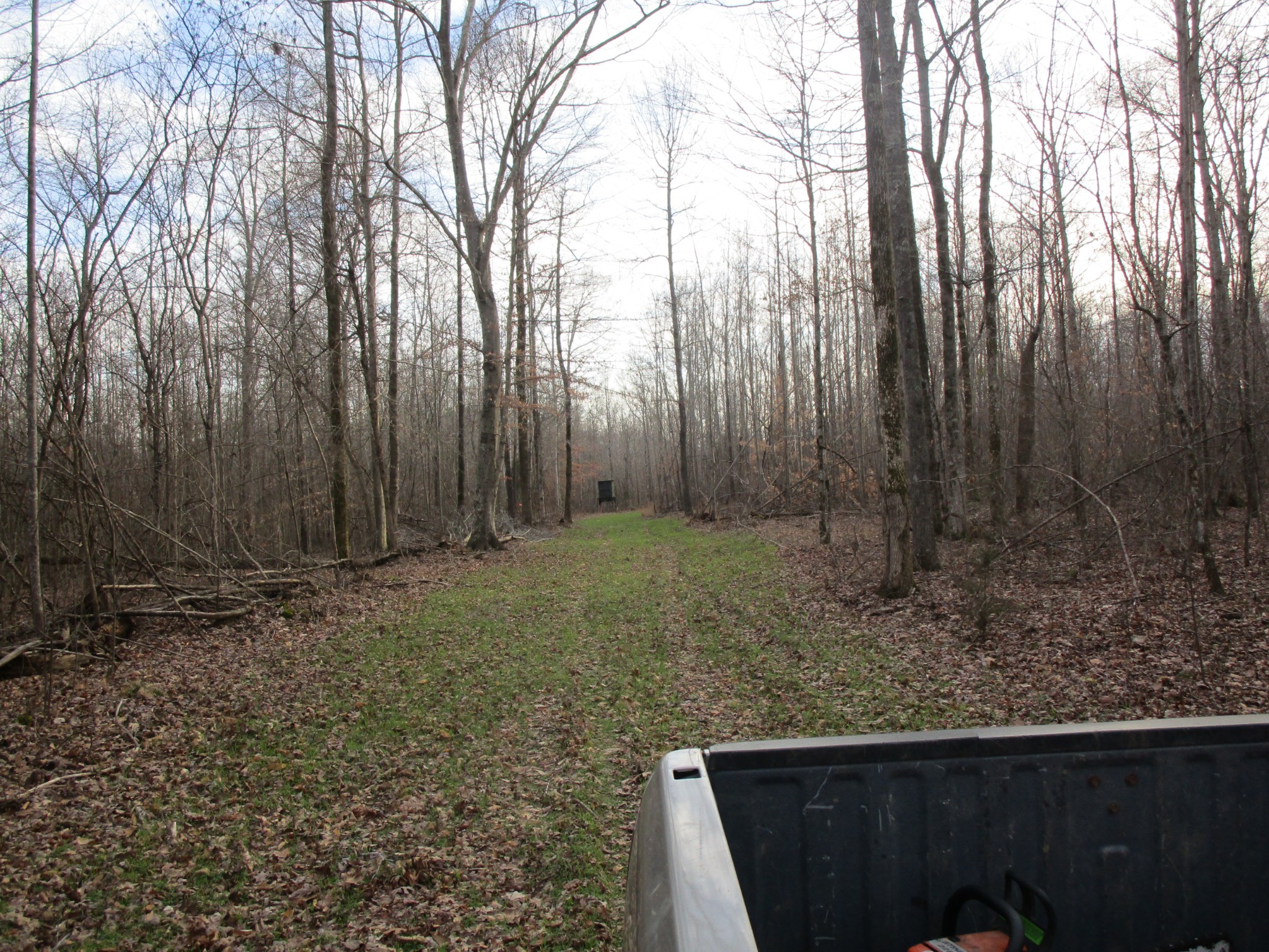 0 Muckle Branch Road Ethridge, TN 38456 - Photo 6 of 13 Gallery Image 6