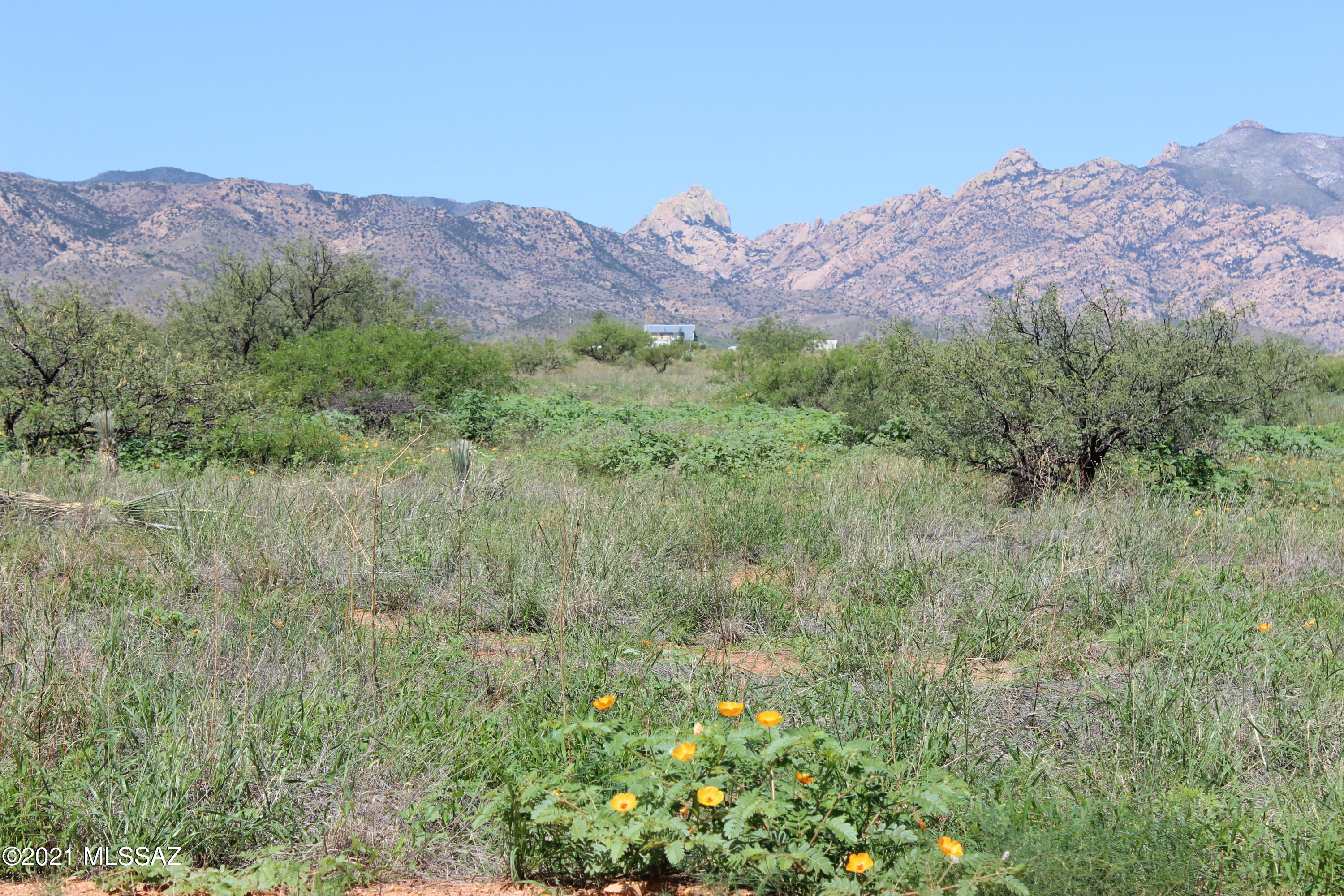Ne Corner, Unit 12 Pearce, AZ 85625 - Photo 6 of 9 Gallery Image 6