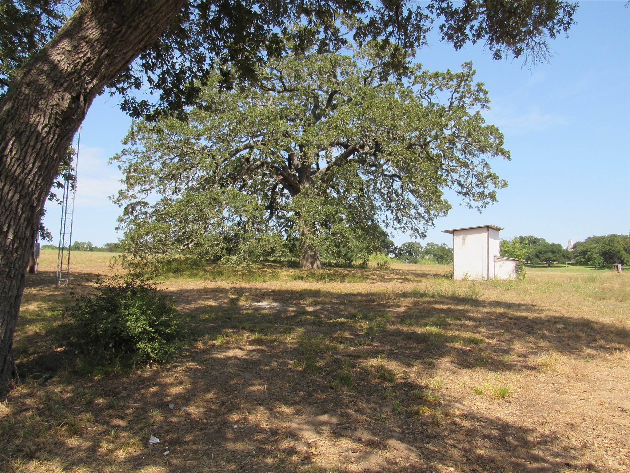 7863 FM 332 Road Brenham, TX 77833 - Photo 16 of 26 Gallery Image 16