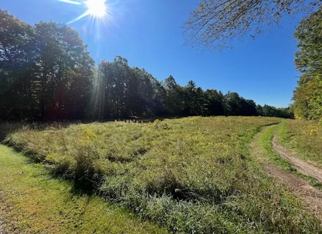 $110,000 | 0 Maple Hill Road, Shaftsbury, VT 05262