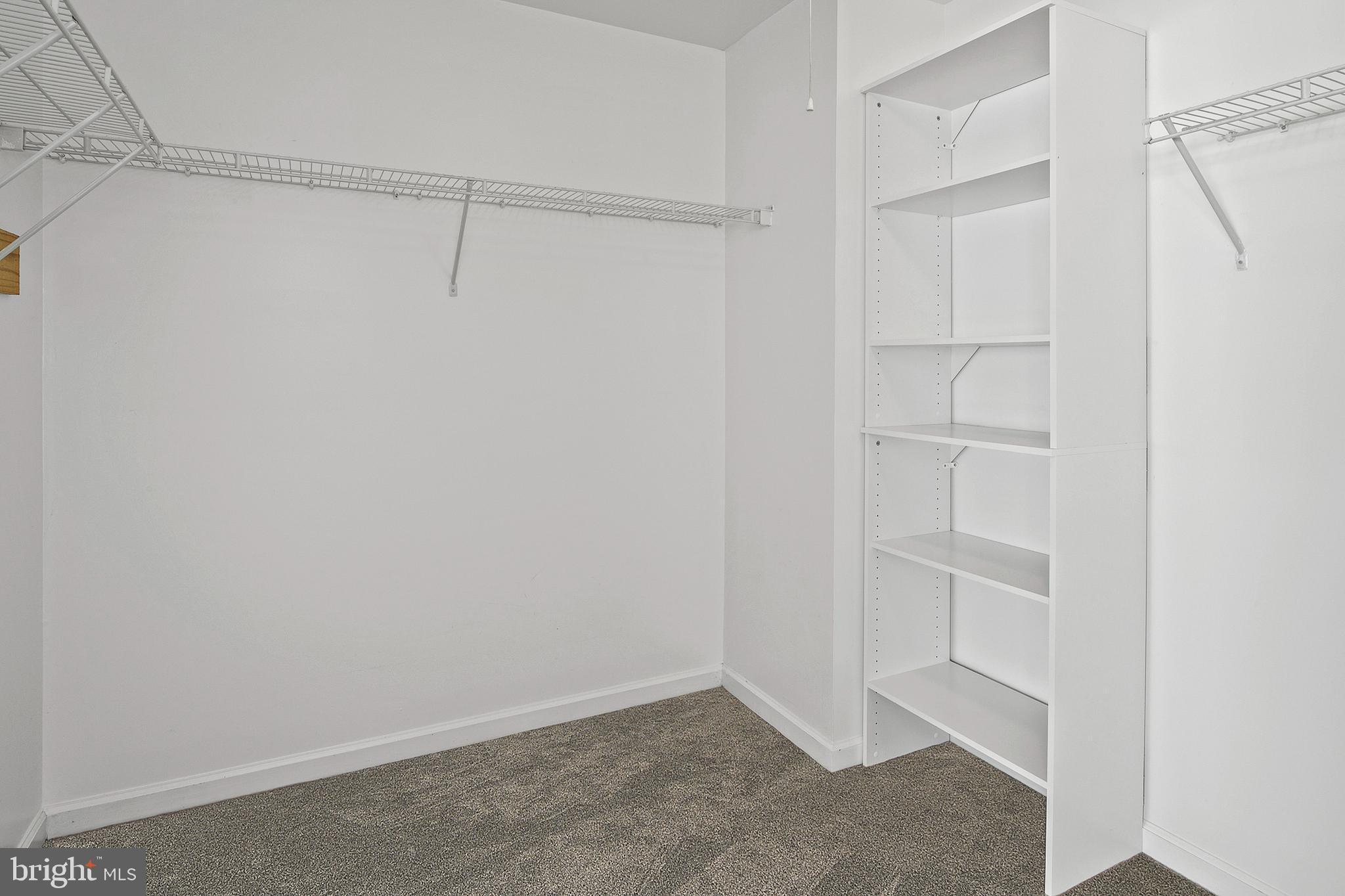10229 Brighton Ridge Way, Unit 116 Columbia, MD 21044 - Photo 25 of 31 a view of an empty walk in closet