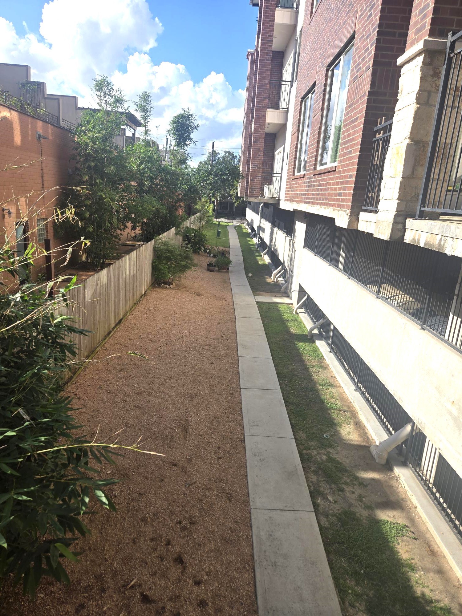 1900 Genesee Street, Unit 207 Houston, TX 77006 - Photo 47 of 50 Dog run