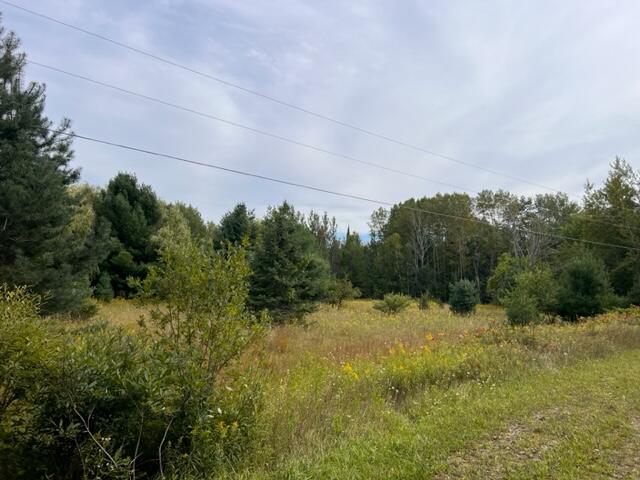 4353 Woodmansee Road Cheboygan, MI 49721 - Photo 40 of 41 Gallery Image 40