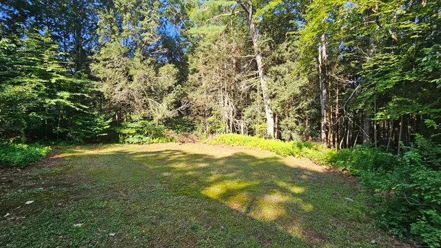 a view of outdoor space with a yard