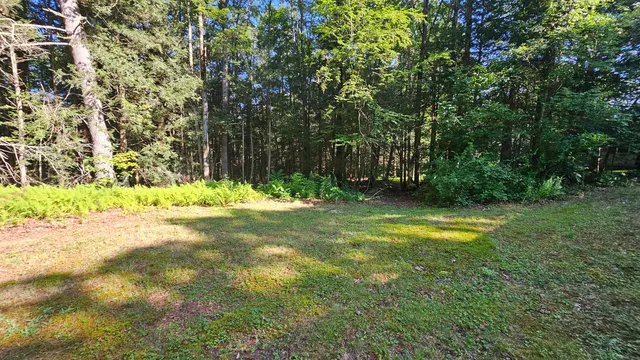 a view of yard with green space