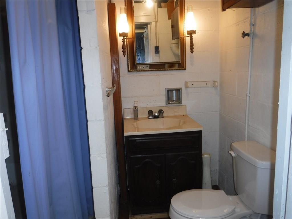 1425 Harvey Run Road Freedom, PA 15042 - Photo 17 of 25 Basement full bath