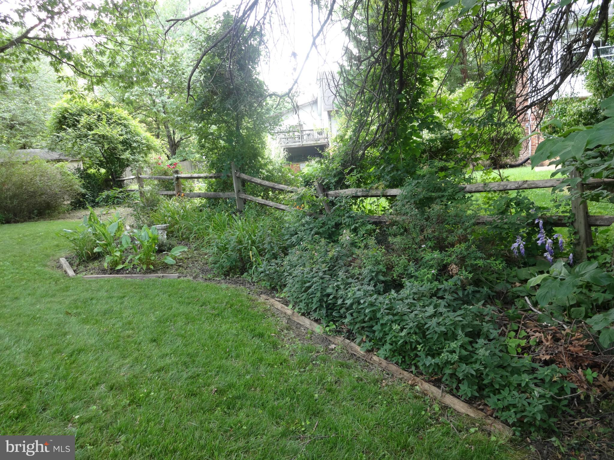 8404 Rambler Drive Adelphi, MD 20783 - Photo 24 of 26 Established Landscaping