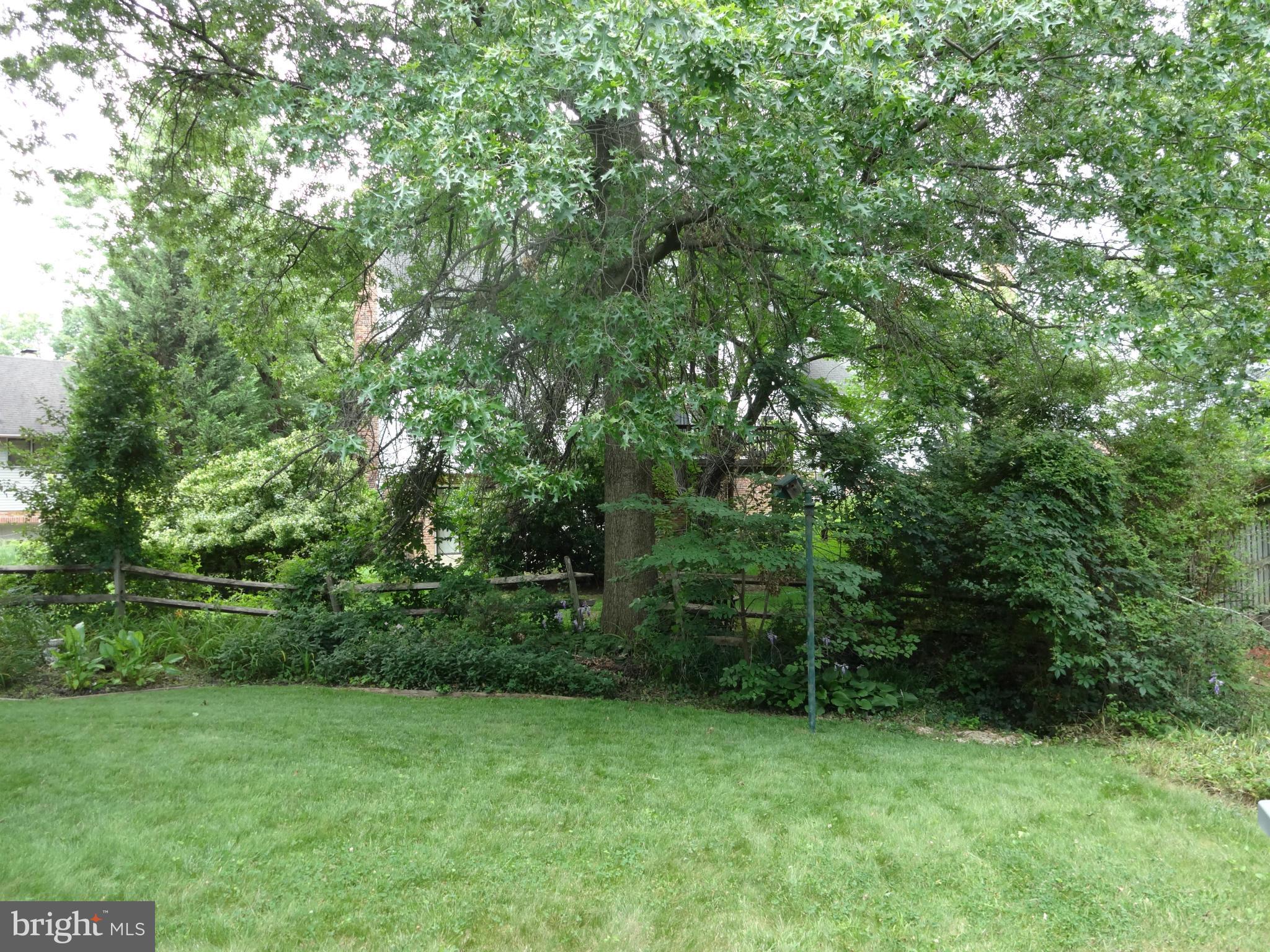 8404 Rambler Drive Adelphi, MD 20783 - Photo 25 of 26 View