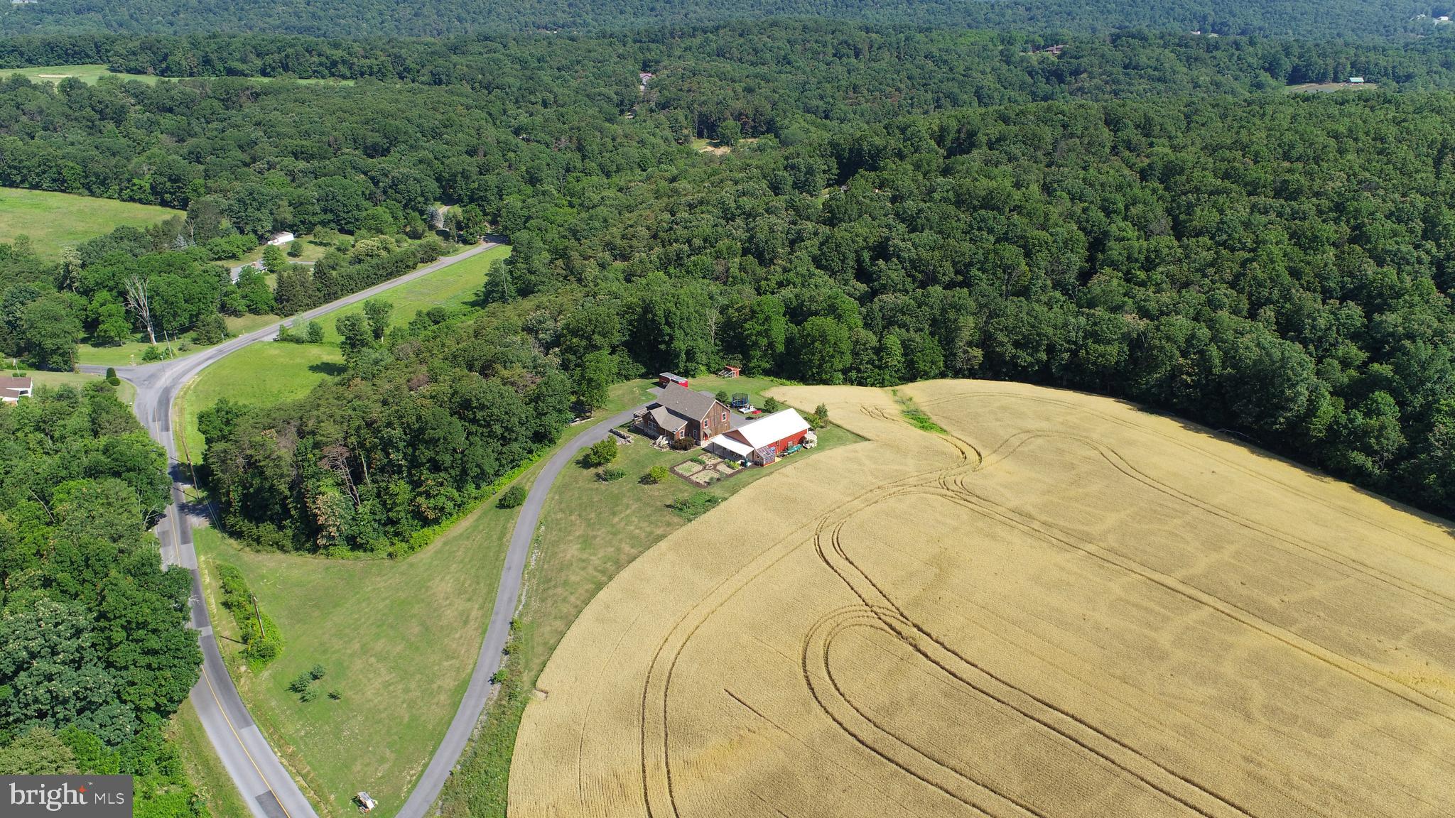 1177 Pisgah State Road Shermans Dale, PA 17090 - Photo 54 of 66 Gallery Image 54