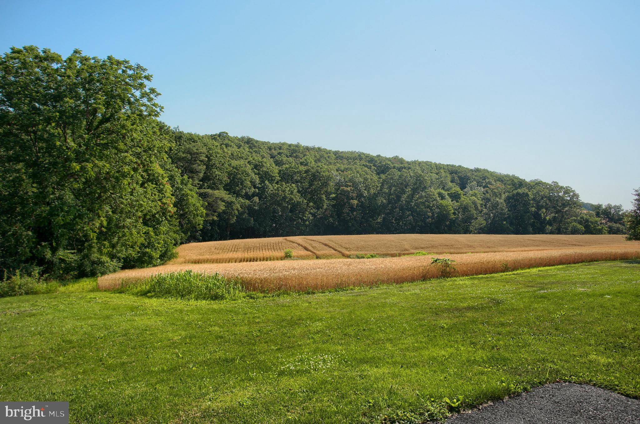 1177 Pisgah State Road Shermans Dale, PA 17090 - Photo 66 of 66 Gallery Image 66