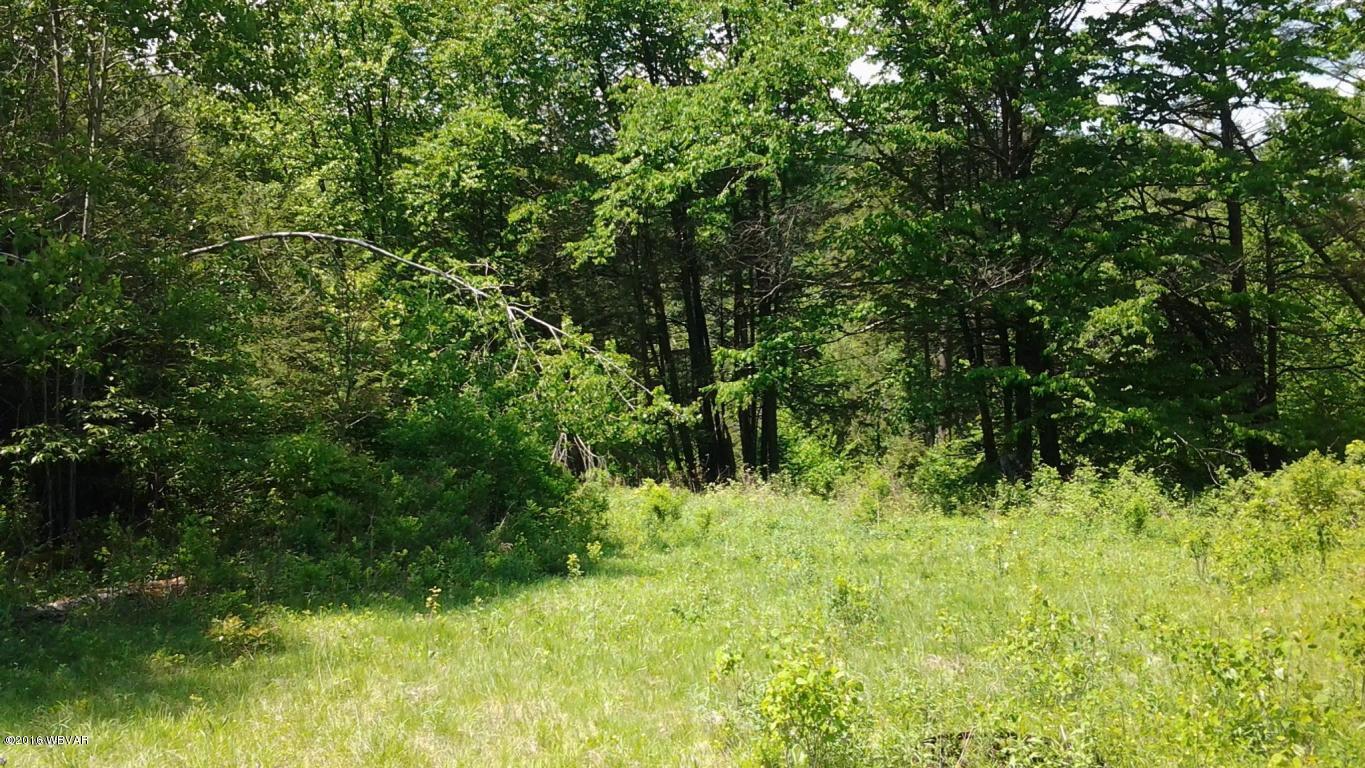 0 Old Farm Road Muncy Valley, PA 17758 - Photo 3 of 12 Old Farm Rd. 1