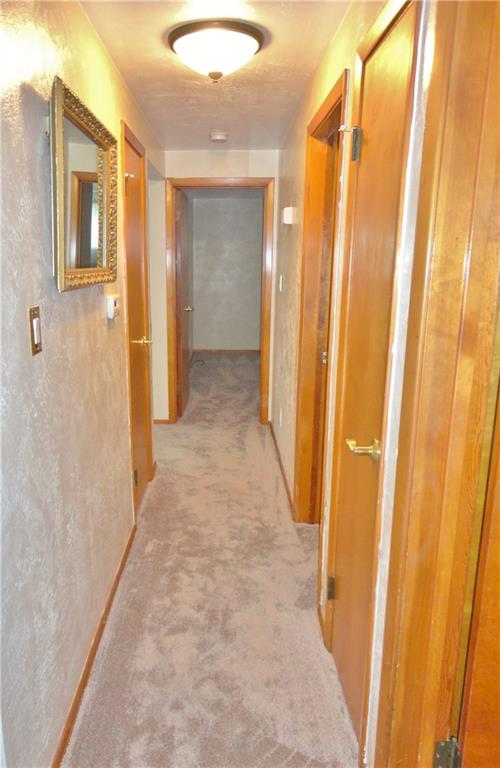 248 Marshall Road Oakdale, PA 15071 - Photo 8 of 21 Main hallway. Nice new carpet, new painting and light fixture.