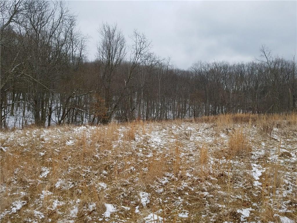 160 Stoup Road Mars, PA 16046 - Photo 13 of 15 Gallery Image 13