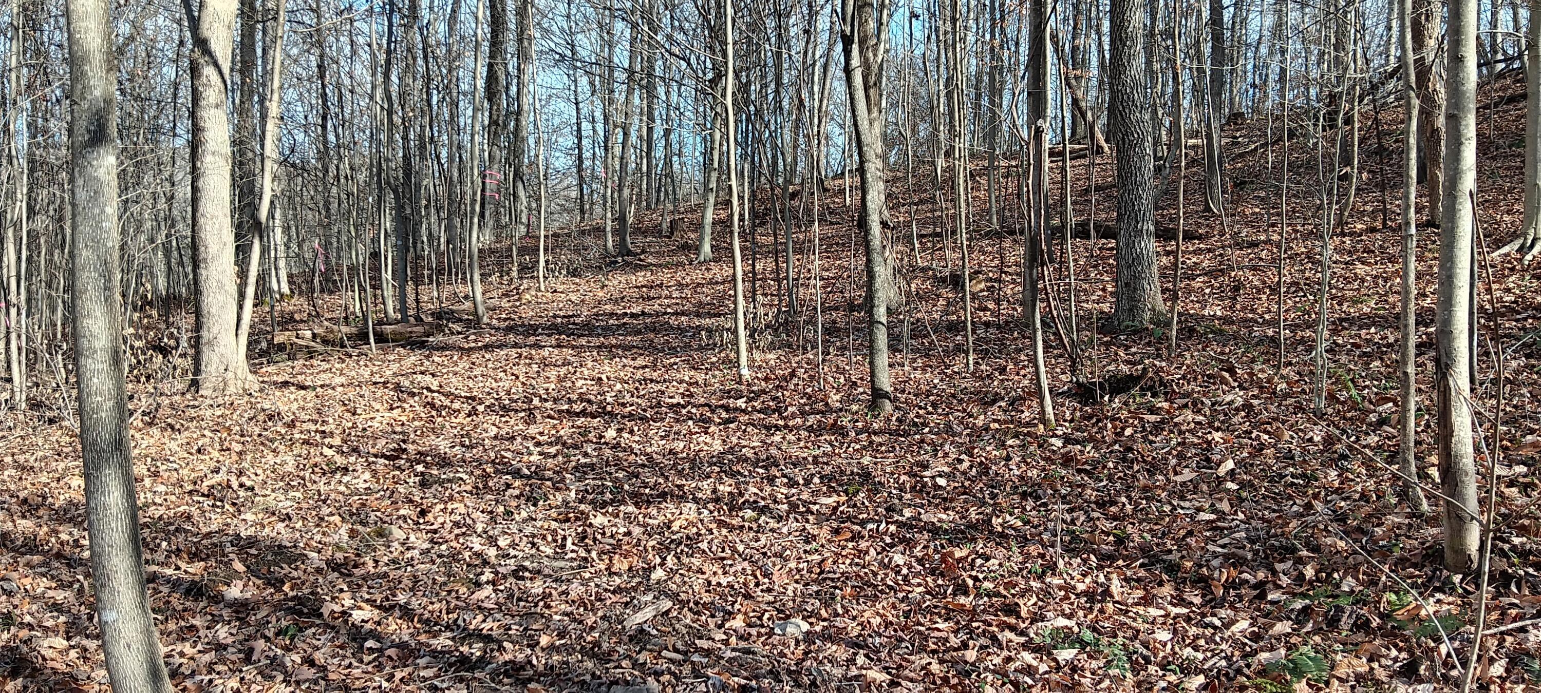 0 Calaway Road, Unit TRACT 3) Coolville, OH 45723 - Photo 15 of 40 20231130_140228