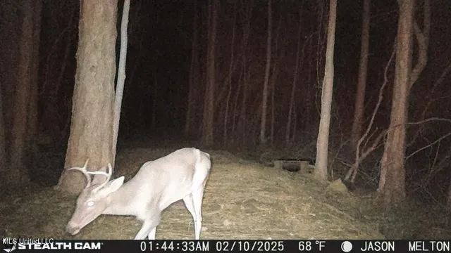 $345,000 | 27588 East Lake Cypress Drive, Perkinston, MS 39573