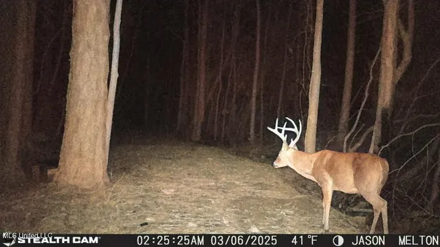 $345,000 | 27588 East Lake Cypress Drive, Perkinston, MS 39573