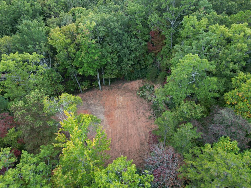 3.69-ac Atoah Loop Murphy, NC 28906 - Photo 22 of 28 Gallery Image 22