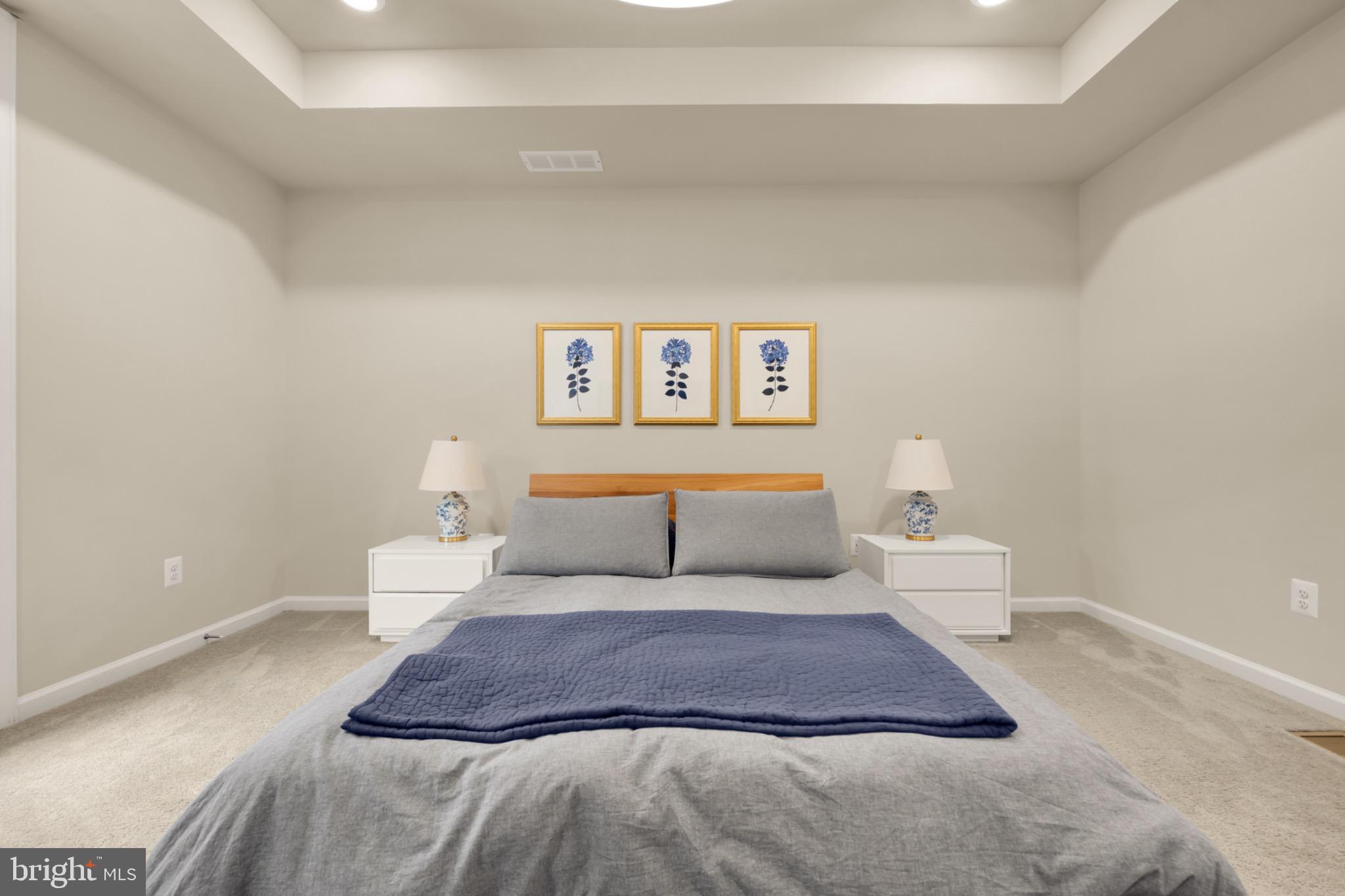 14967 River Walk Way Woodbridge, VA 22191 - Photo 21 of 38 Tray ceiling and upgraded lighting